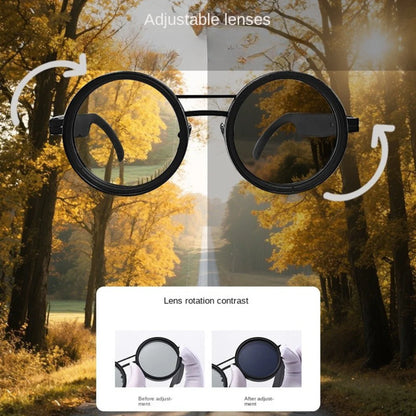 FlexVision retro sunglasses gold