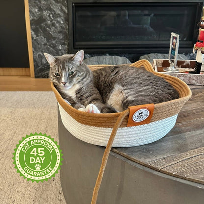 Cat relaxing in handwoven natural rope cat basket at home