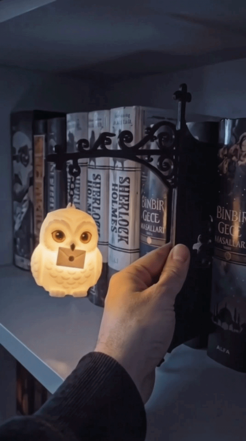 Owl figurine glowing on bookshelf real-life demo