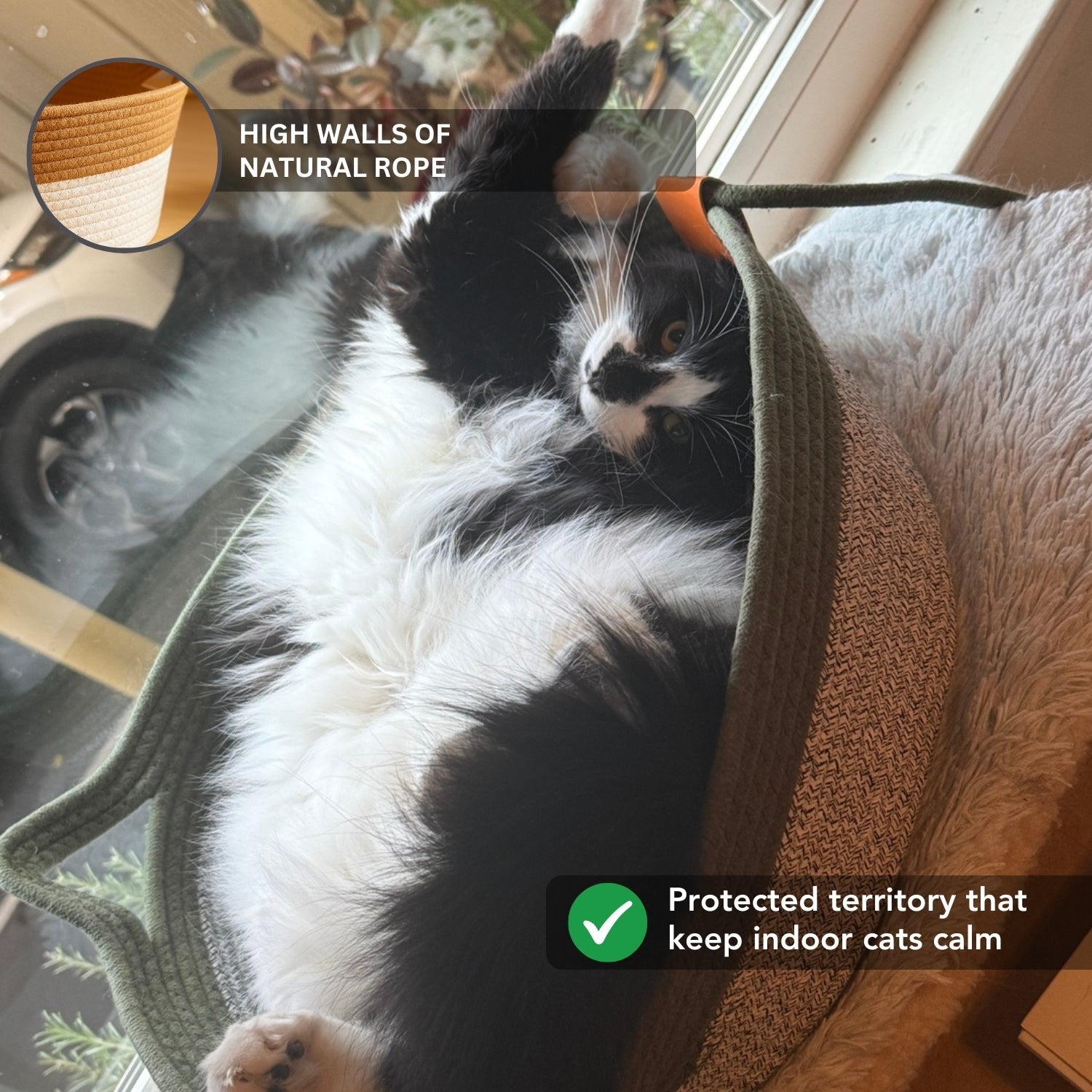 High raised walls of natural rope cat basket keep indoor cats calm