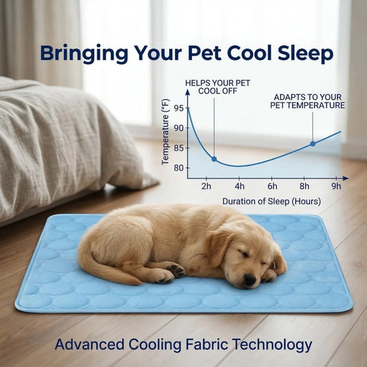Bringing your pet cool sleep