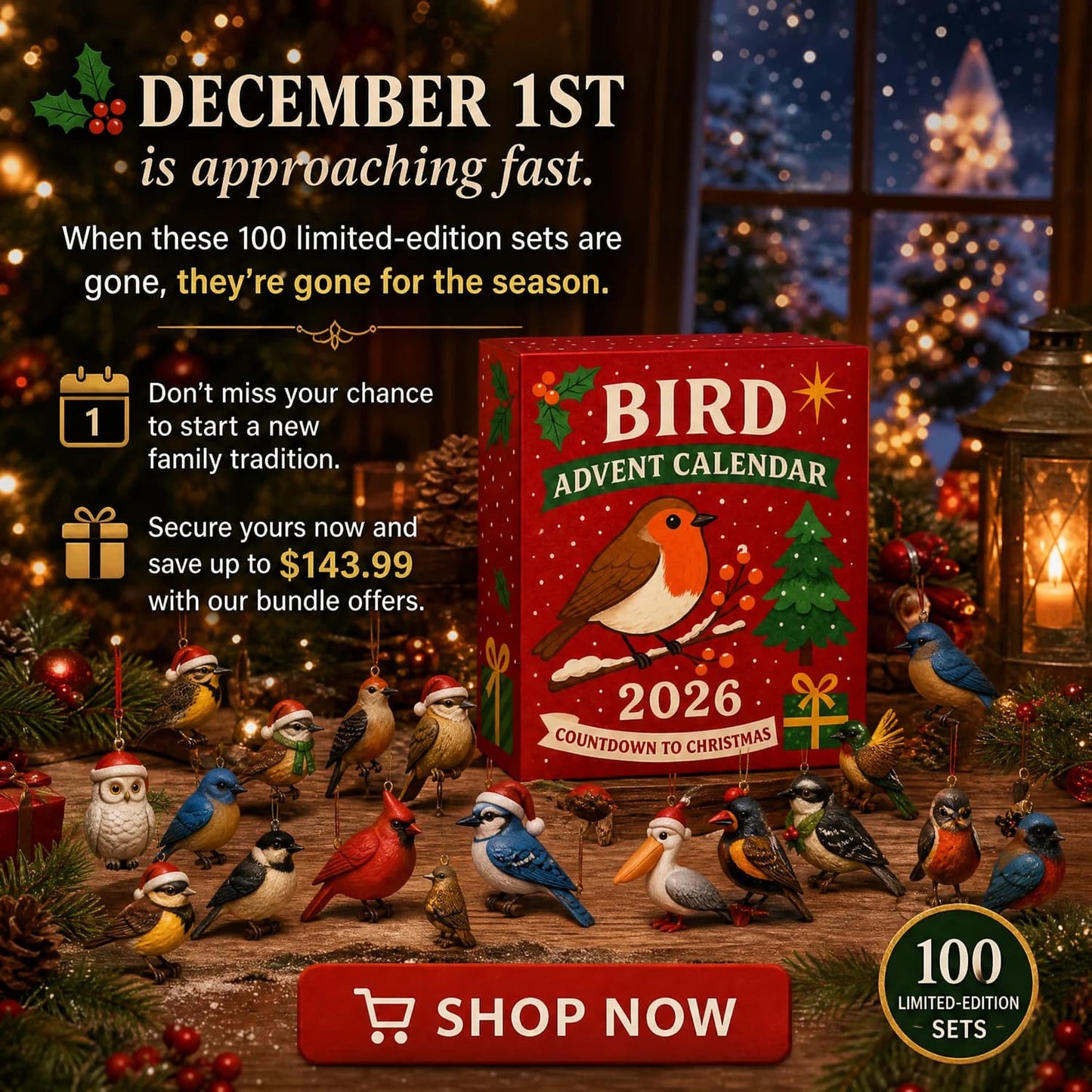 Bird Advent Calendar 2026 – 24 Acrylic Bird Ornaments