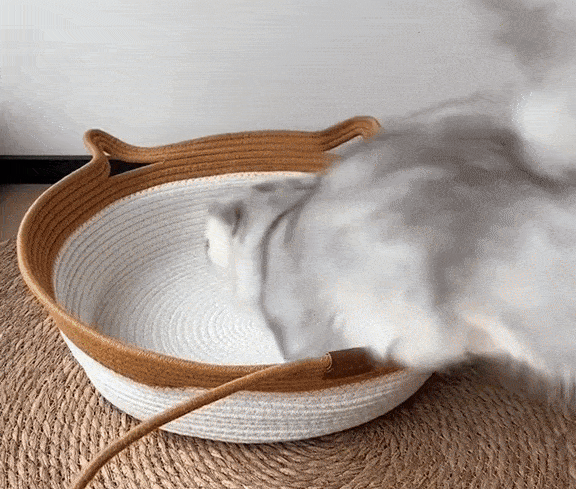 Cat playing inside handwoven rope cat basket