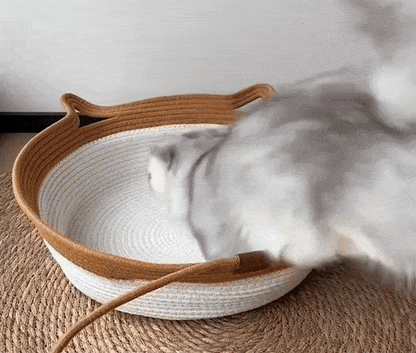 Cat playing inside handwoven rope cat basket