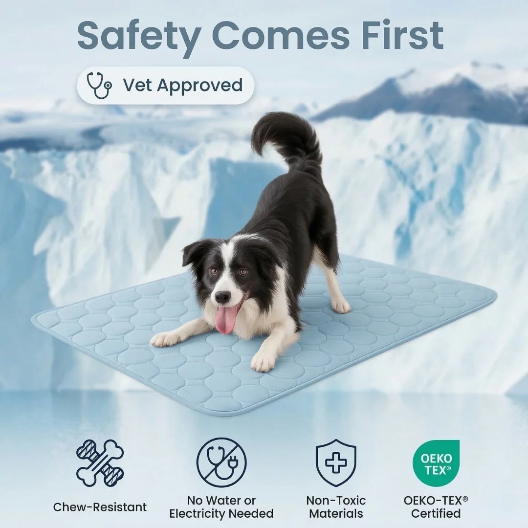 Safety comes first vet approved