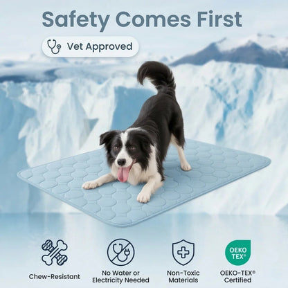 Safety comes first vet approved