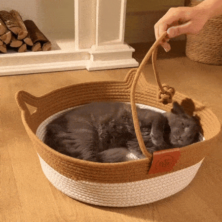 Owner carrying portable rope cat basket with cat inside