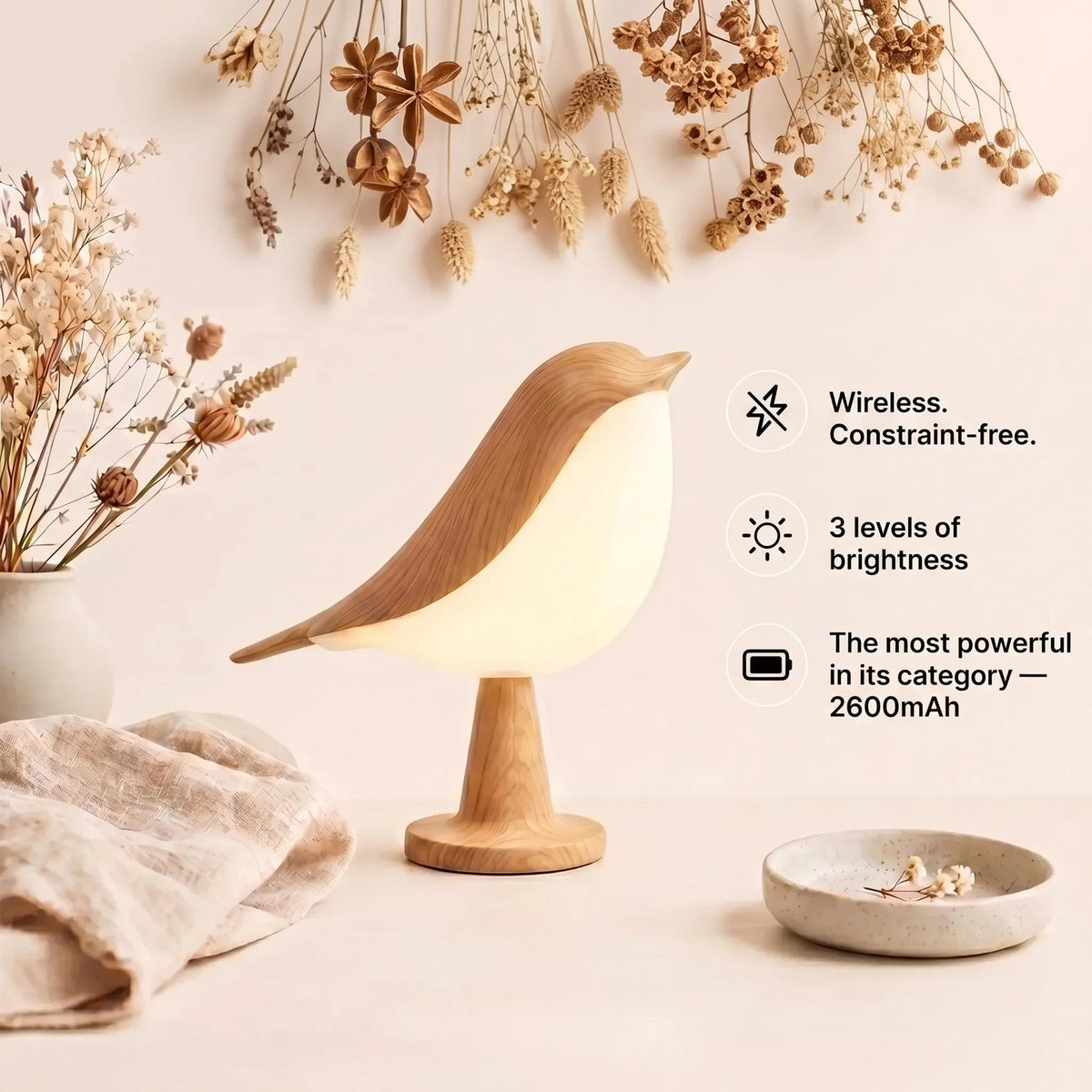 Rechargeable bird night light with adjustable brightness
