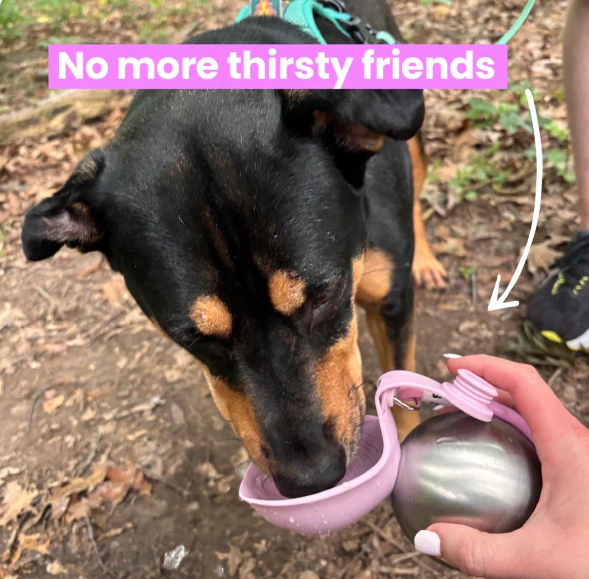 Dog drinking from the 2-in-1 leak-proof dog water bottle outdoors