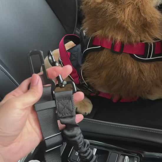 Adjustable Dog Car Seat Belt with Locking Swivel Clip