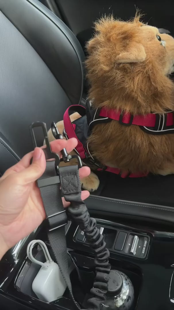 Adjustable Dog Car Seat Belt with Locking Swivel Clip