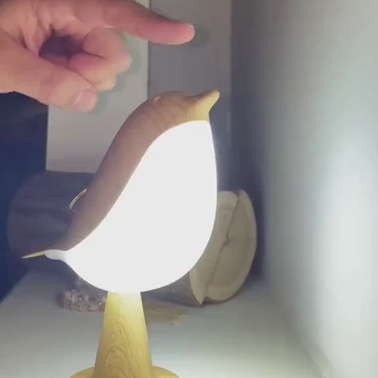 Touch-Control Bird Night Light – USB-C Rechargeable
